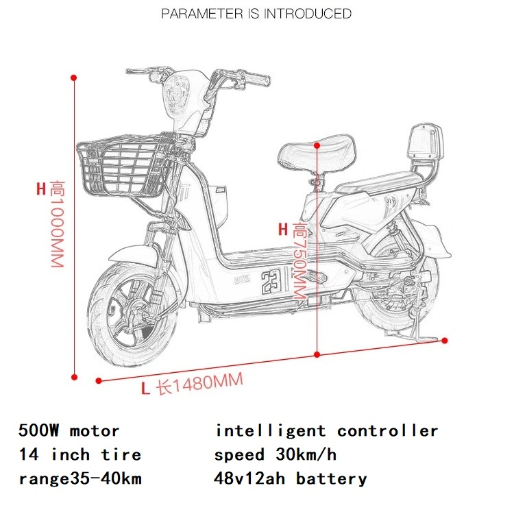 The Electric Scooter with Two Separate Seats Is Equipped with 500W Motor 12ah Lead-Acid Battery