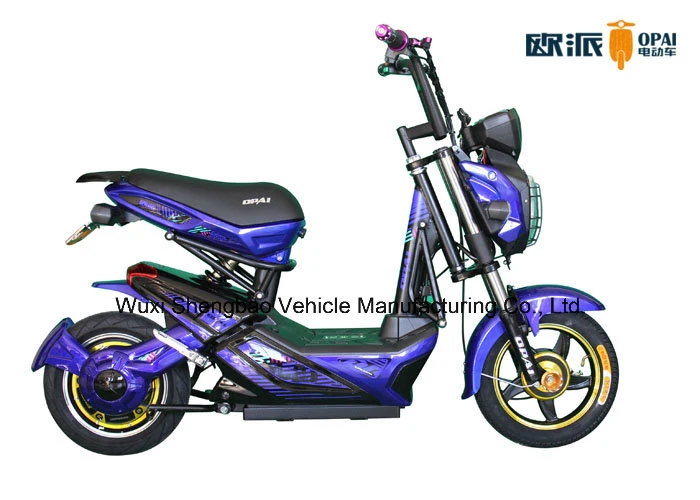 Adult Electric Bike Electric Bicycle E-Scooter Op-Tbs036 Opai 500W 48V20ah