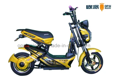Adult Electric Bike Electric Bicycle E