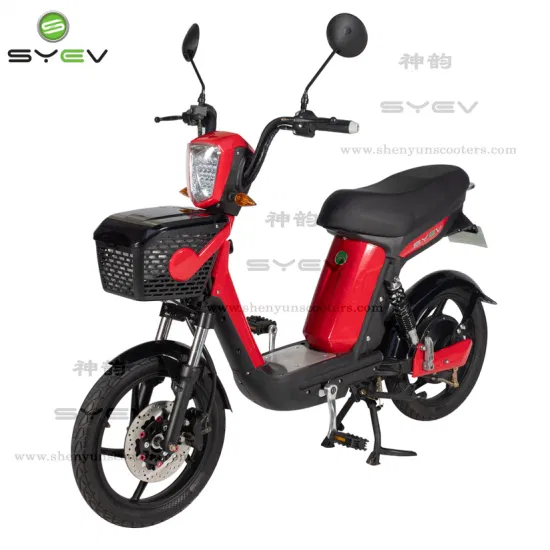 2 Wheel 500W Electric Scooter Electric Mobility Scooter with 48V12ah Lead