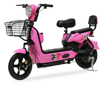 The Electric Scooter with Two Separate Seats Is Equipped with 500W Motor 12ah Lead