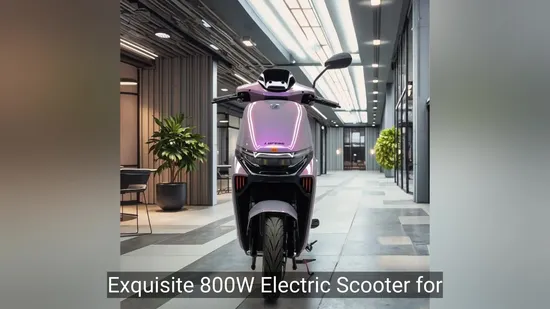 Exquisite 800W Electric Scooter for Adults City Commuting